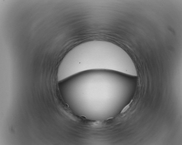 X0000114420092200910161103