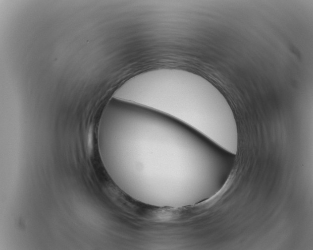 X0000114420094200910161103