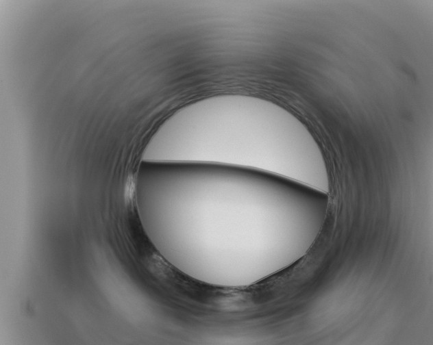 X0000114420095200910161103