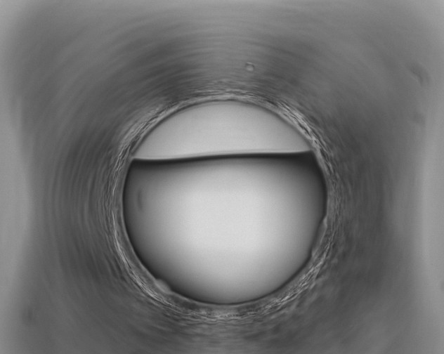 X0000114420097200910161103