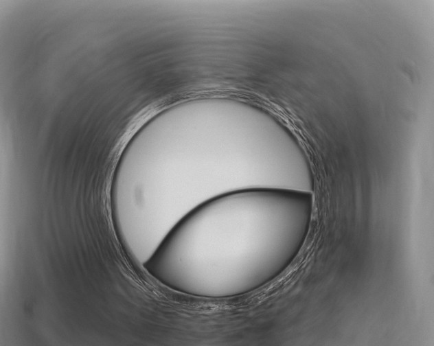 X0000114420099200910161103