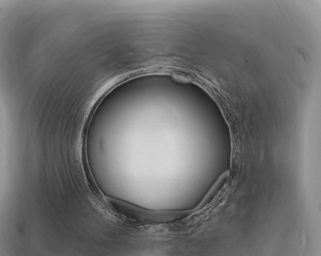 X0000114420100200910161103