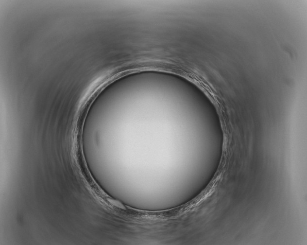 X0000114420101200910161103
