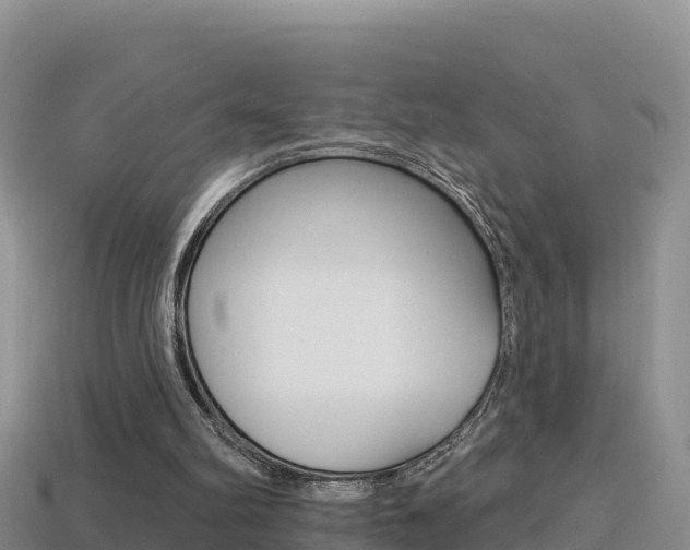 X0000114420102200910161103