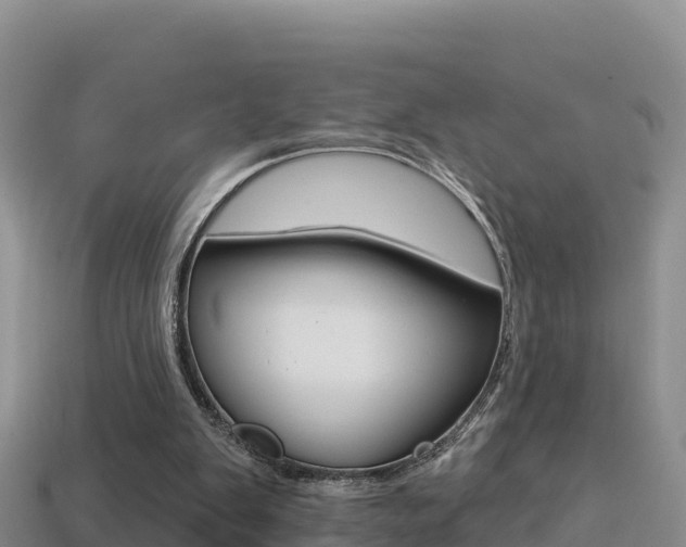 X0000114420103200910161103