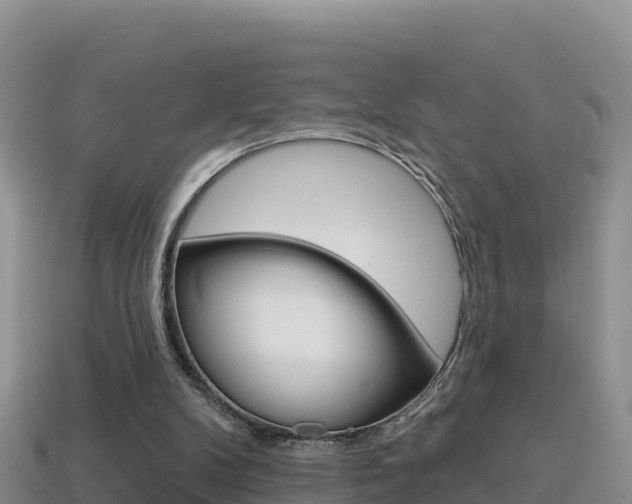X0000114420104200910161103
