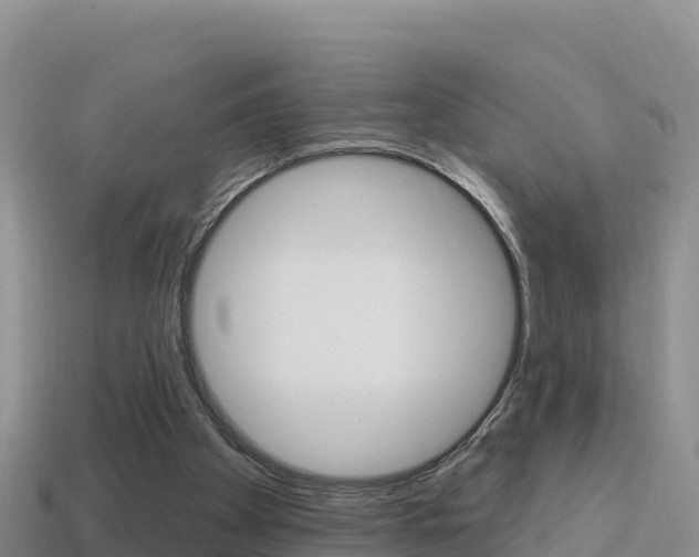 X0000114420105200910161103