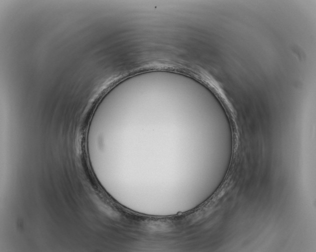X0000114420106200910161103