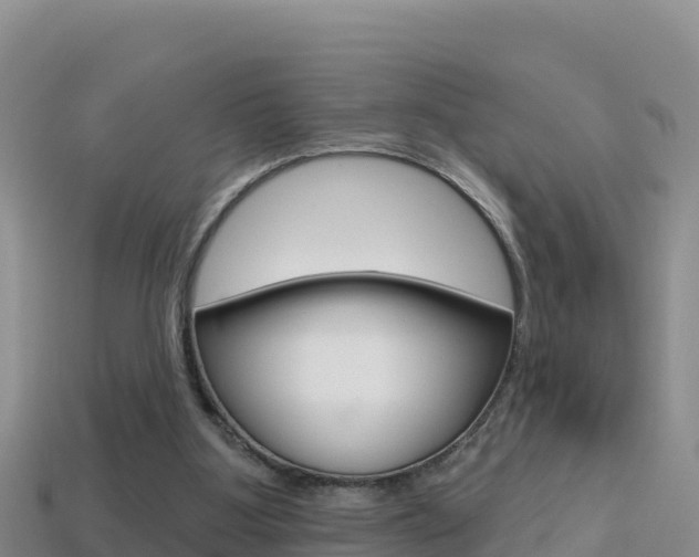 X0000114420107200910161103