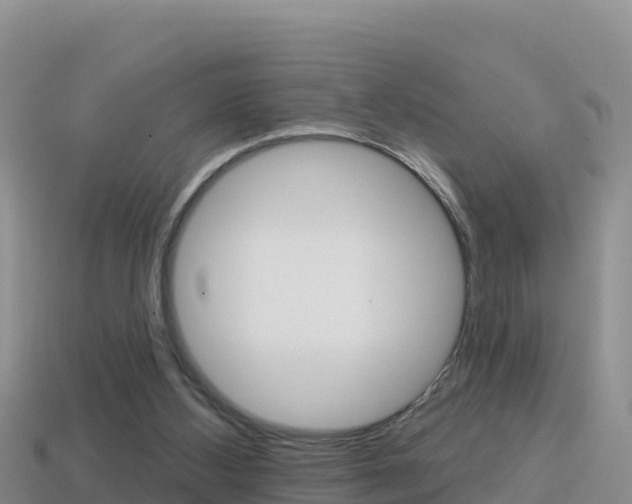 X0000114420108200910161102