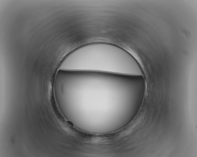 X0000114420109200910161102