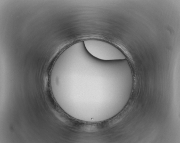 X0000114420110200910161102
