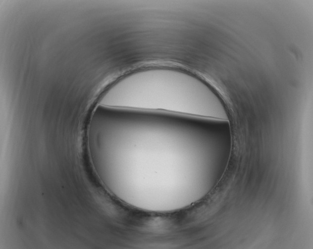 X0000114420111200910161102