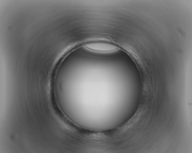 X0000114420112200910161102