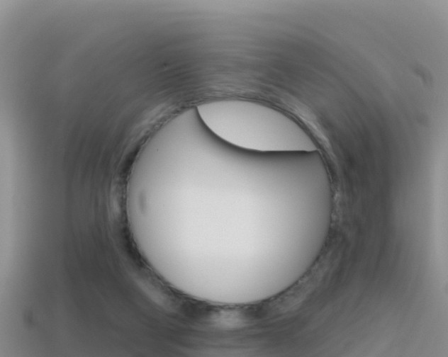 X0000114420114200910161102
