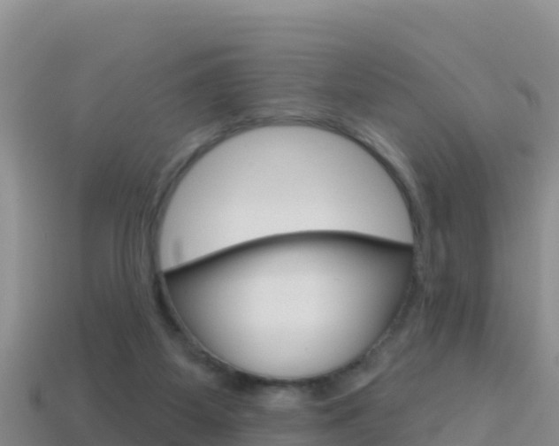 X0000114420115200910161102