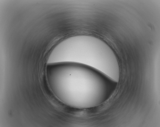 X0000114420116200910161102