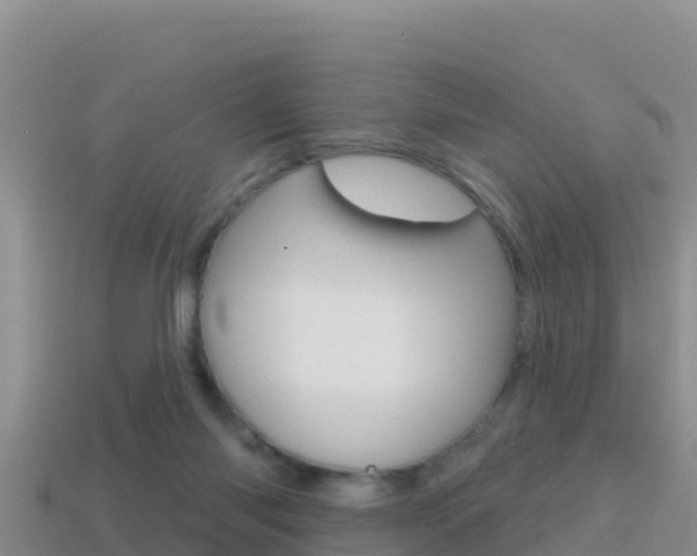 X0000114420118200910161102