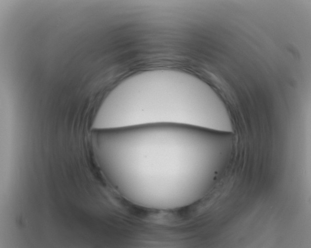 X0000114420125200910161102