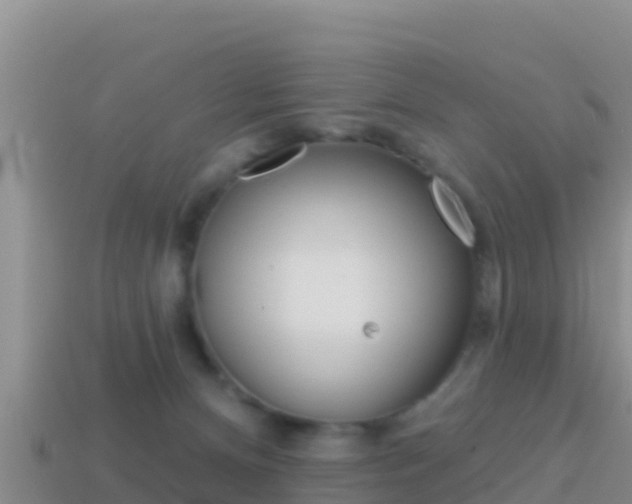 X0000114420128200910161102