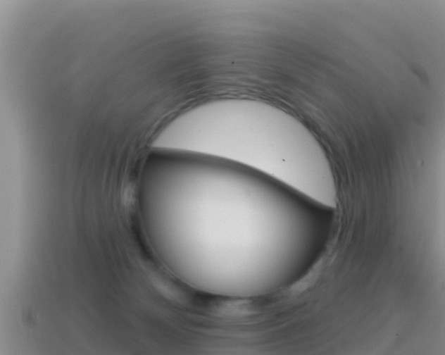 X0000114420132200910161102