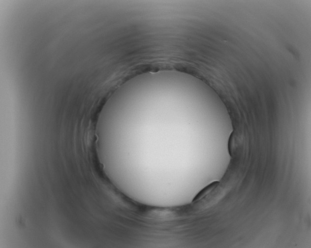 X0000114420133200910161102
