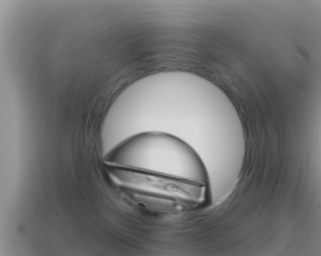 X0000114420136200910161102