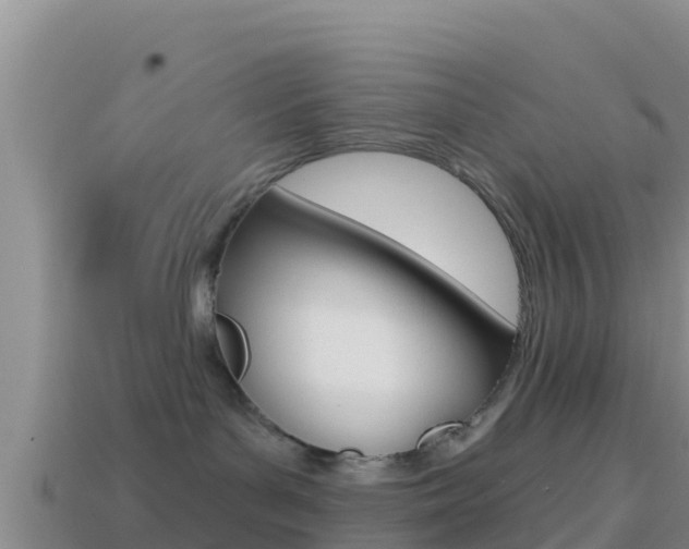 X0000114420143200910161102