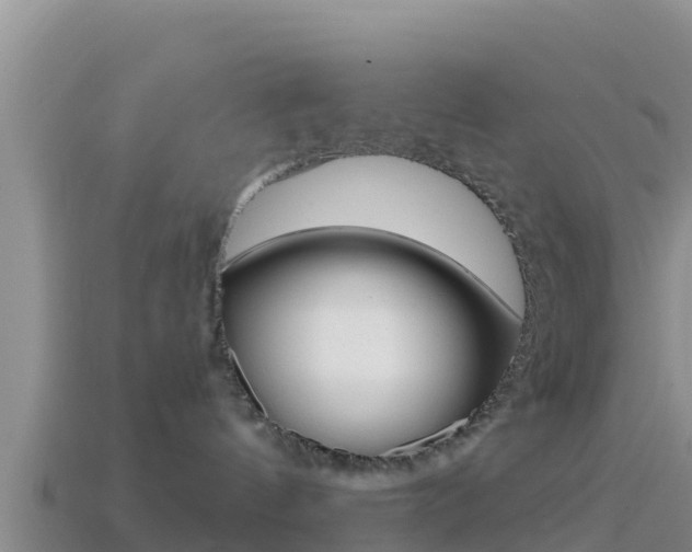 X0000114420144200910161102
