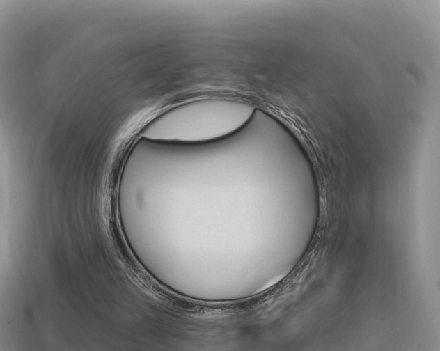 X0000114420149200910161101