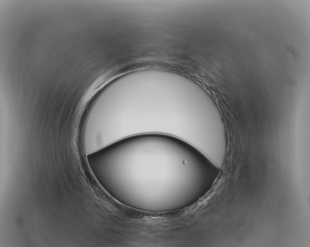 X0000114420150200910161101