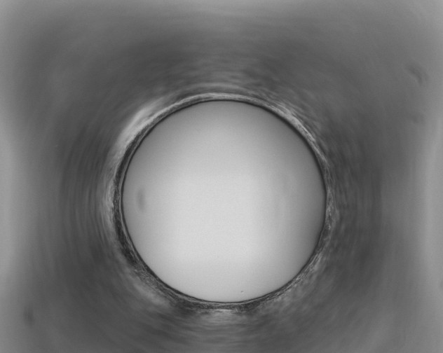 X0000114420151200910161101