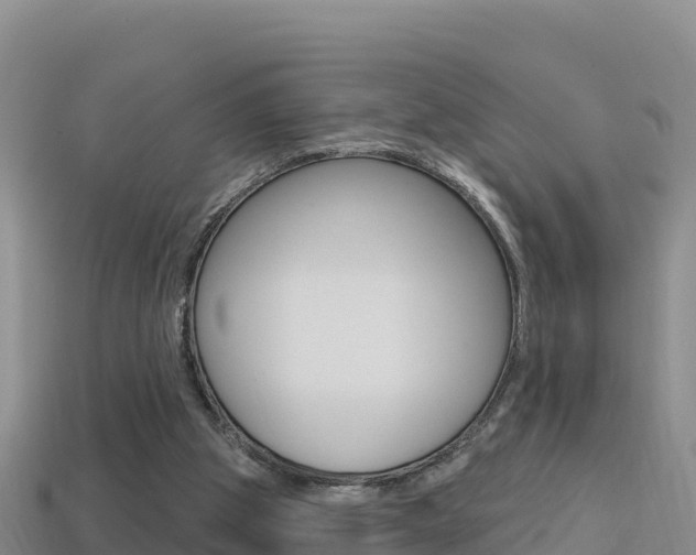 X0000114420153200910161101