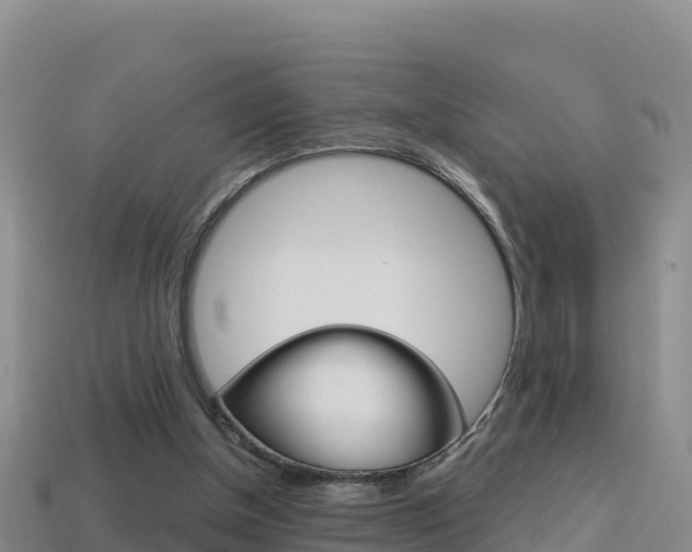 X0000114420154200910161101