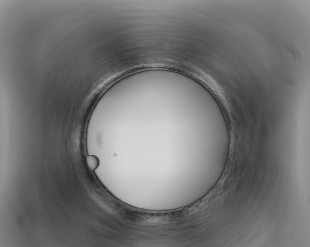 X0000114420155200910161101