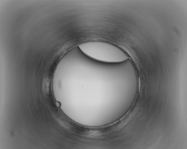 X0000114420157200910161101