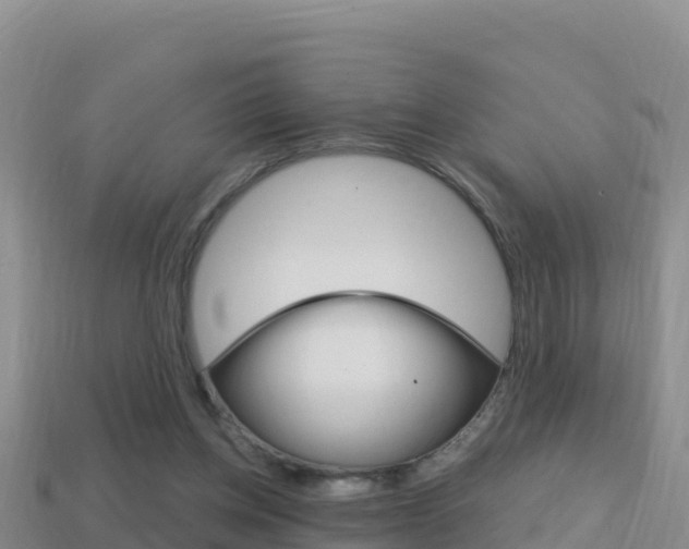 X0000114420158200910161101