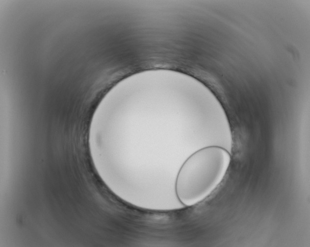 X0000114420162200910161101