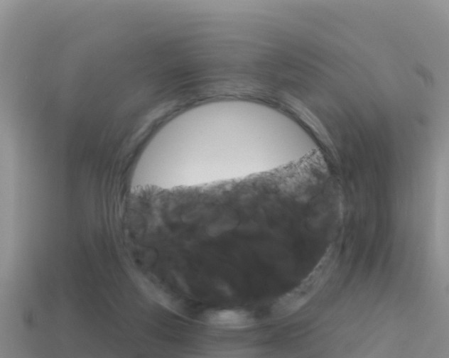 X0000114420163200910161101
