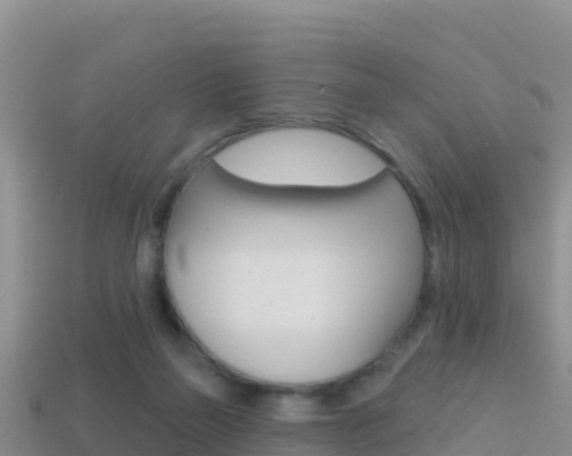 X0000114420165200910161102
