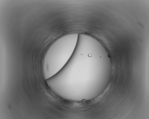 X0000114420166200910161102