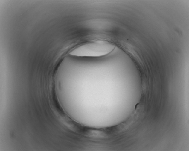 X0000114420167200910161102