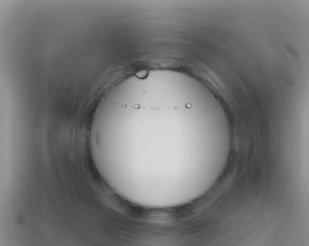 X0000114420169200910161102