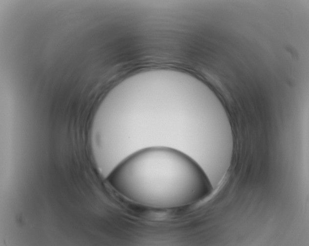 X0000114420170200910161102