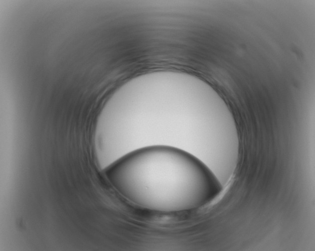 X0000114420174200910161102