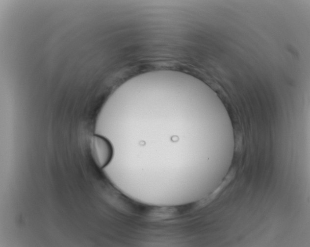 X0000114420179200910161102