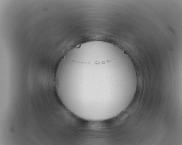 X0000114420181200910161102