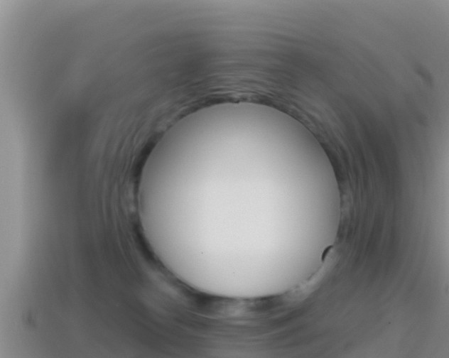 X0000114420182200910161102
