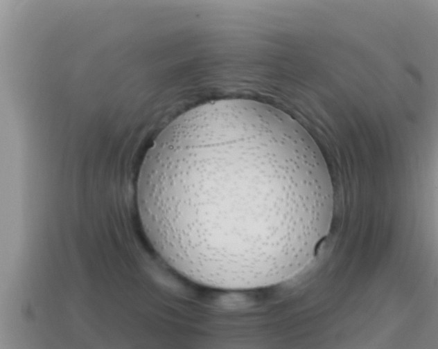 X0000114420183200910161102