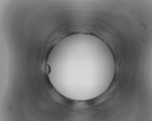 X0000114420185200910161102